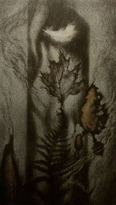 LABUTÍ PÍRKO - HALLA JAN