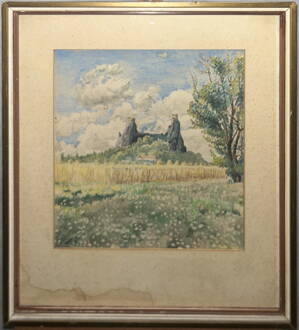 POLE POD TROSKAMI - ŠEDIVÝ KAREL