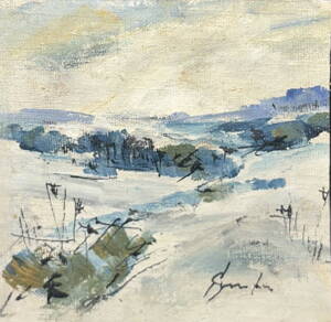 ZIMA NA VYSOČINĚ - ŠTURC JAN