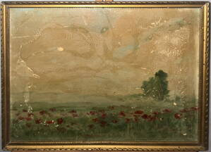 VLČÍ MÁKY NA LOUCE - HÁJEK