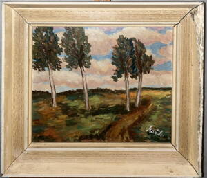 STROMY POD MRAKY - MAŘÍK