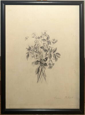 HOUSENKA NA LUČNÍM KVÍTÍ - KALVACH EMMA