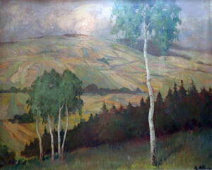 POLÍČKA NA KOPCI - NĚMEC KAREL