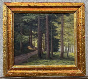 CESTA LESEM - LADISLAV VRANÝ